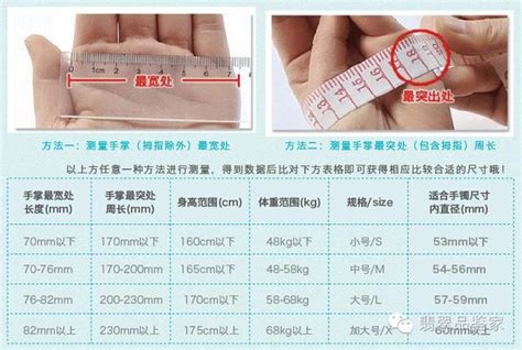 手的長度